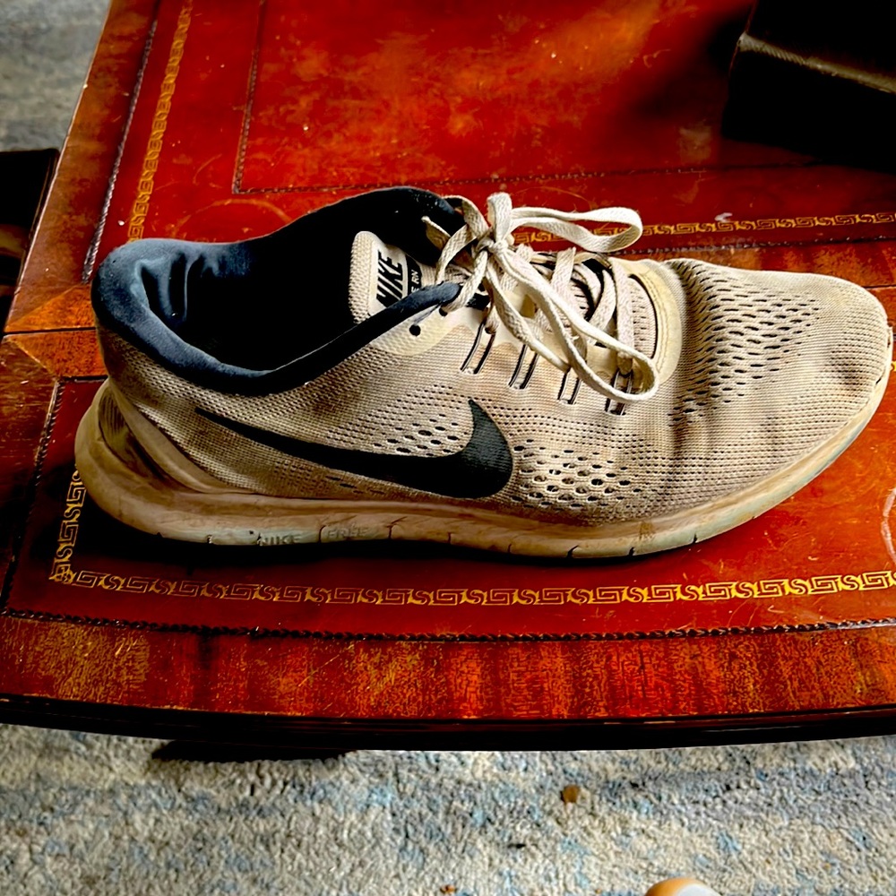 Nike Free Run 1.0